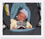 a little jaundiced * 1800 x 1536 * (1.58MB)